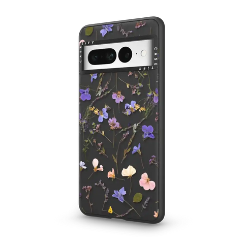 Pressed flowers Violet