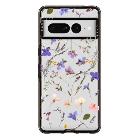 Pressed flowers Violet