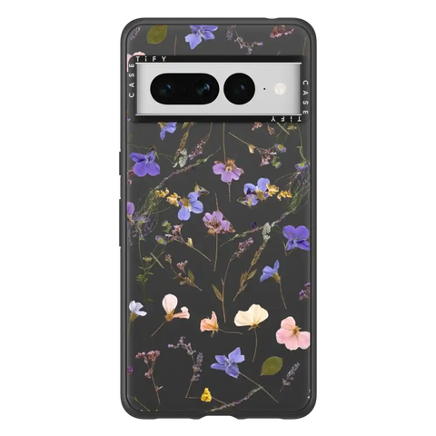 Pressed flowers Violet