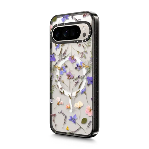 Pressed flowers Violet