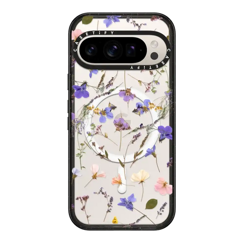 Pressed flowers Violet