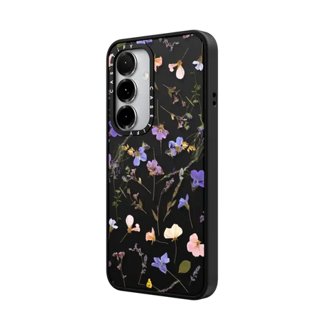 Pressed flowers Violet