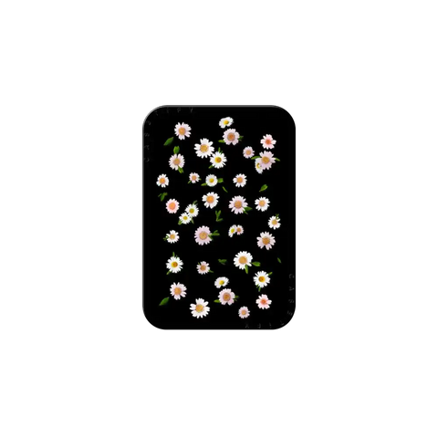 Pressed flowers daisy