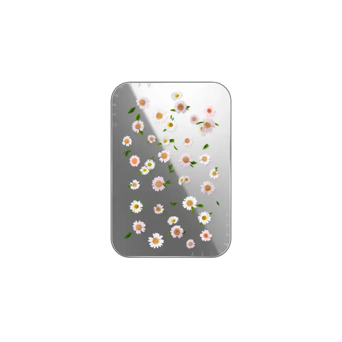 Pressed flowers daisy
