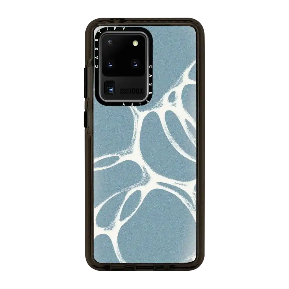 Mirror Magnetic Case