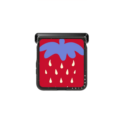 Clear Case