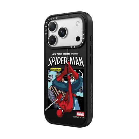 Spider-Man Poster Case