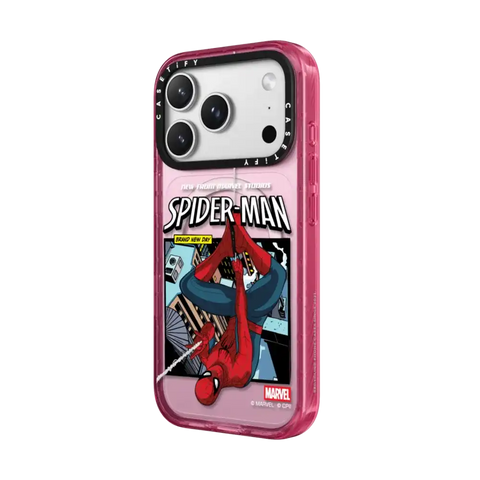 Spider-Man Poster Case