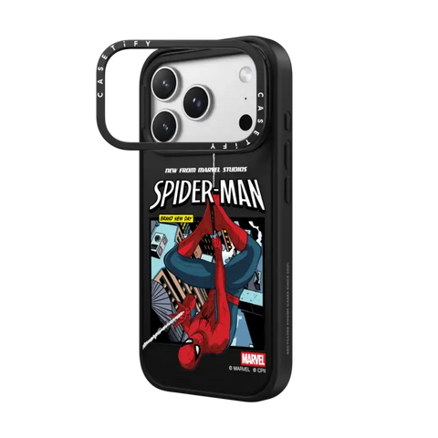 Spider-Man Poster Case