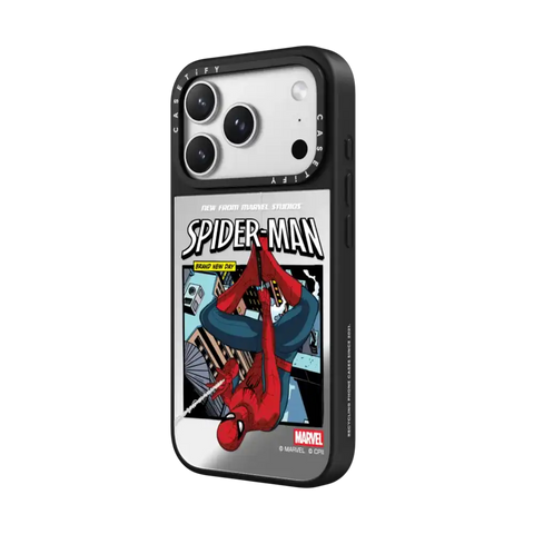 Spider-Man Poster Case