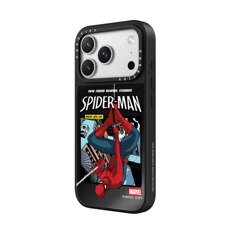 Spider-Man Poster Case