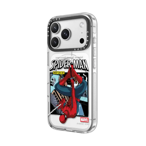 Spider-Man Poster Case
