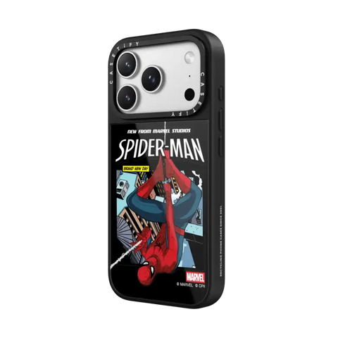 Spider-Man Poster Case