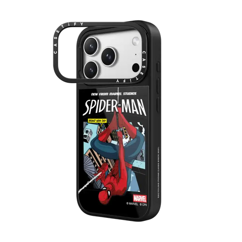 Spider-Man Poster Case
