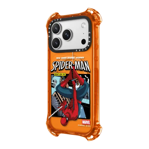 Spider-Man Poster Case
