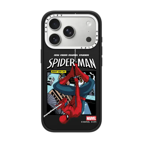 Spider-Man Poster Case