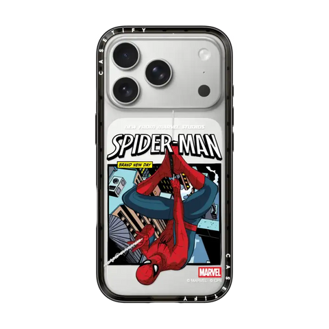 Spider-Man Poster Case