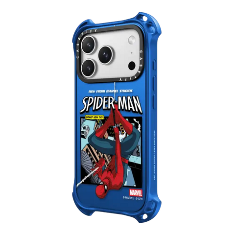 Spider-Man Poster Case