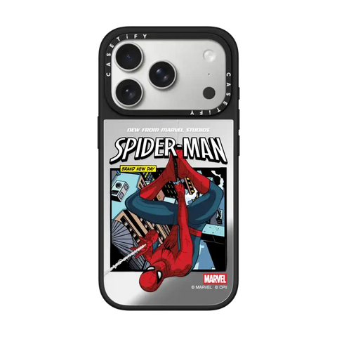 Spider-Man Poster Case