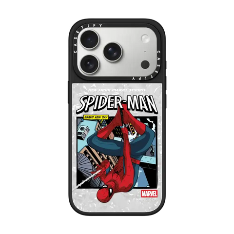 Spider-Man Poster Case