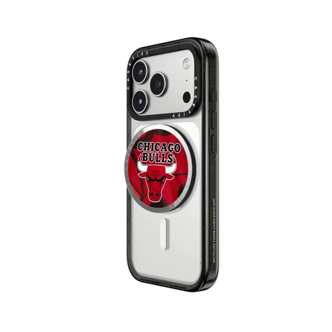 Chicago Bulls Grip Stand