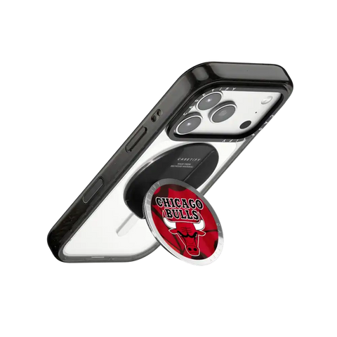 Chicago Bulls Grip Stand