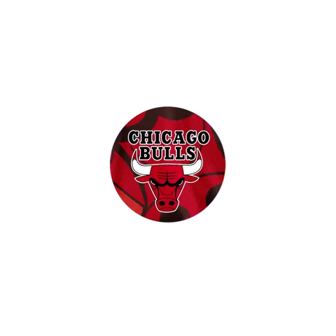Chicago Bulls Grip Stand