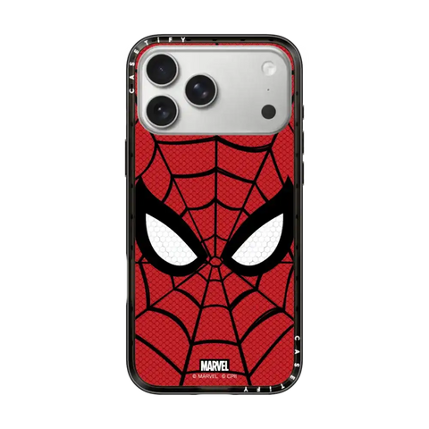 Spider-Man New Mask Case