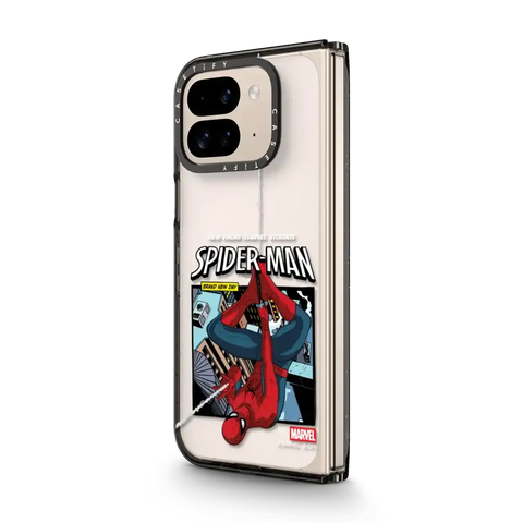 Spider-Man Poster Case