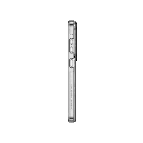 Silver Tiger