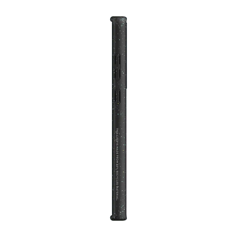 Lily Ponds