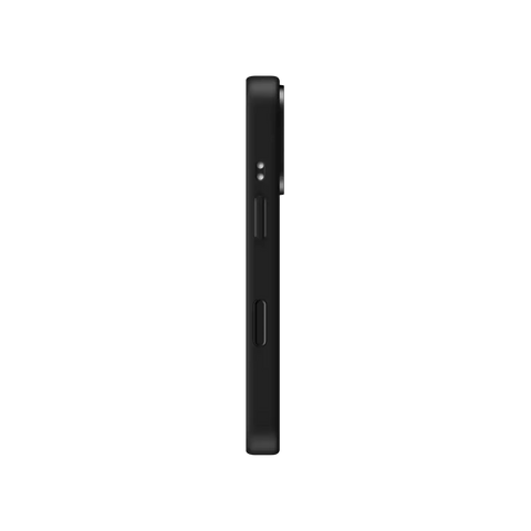 Dogs