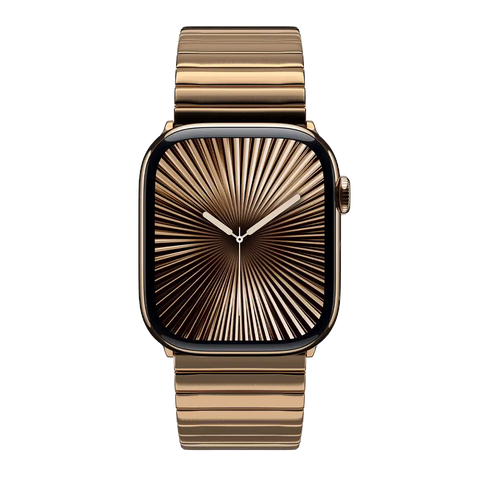 Stainless Steel Monolink Band - Black