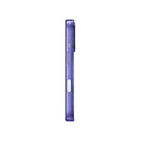 New Zealand Kea