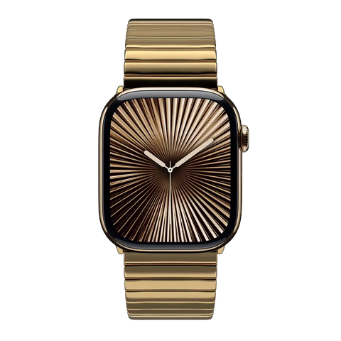 Stainless Steel Monolink Band - Black