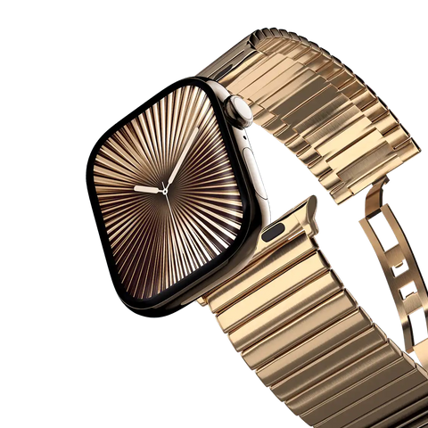 Stainless Steel Monolink Band - Black