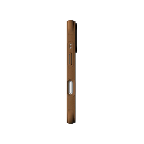 CATS POLA