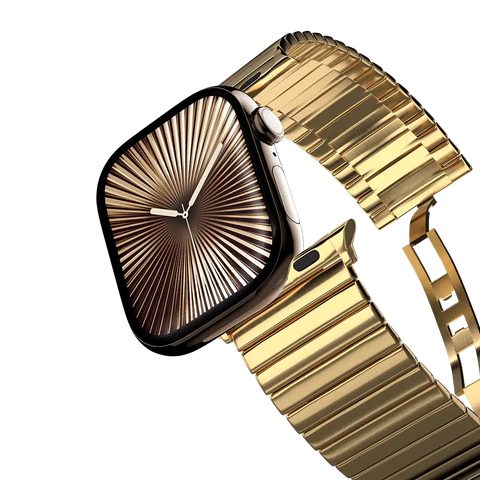 Stainless Steel Monolink Band - Black
