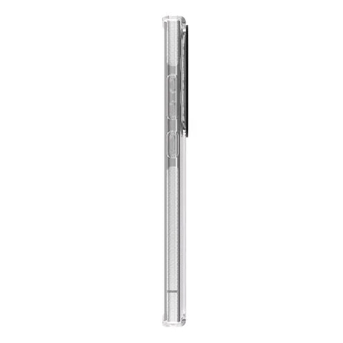 Clear Hydrangea Blooms